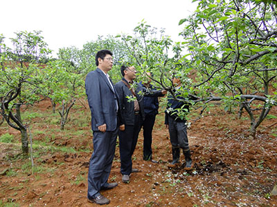 領(lǐng)導考察3