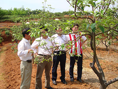 領(lǐng)導(dǎo)考察6